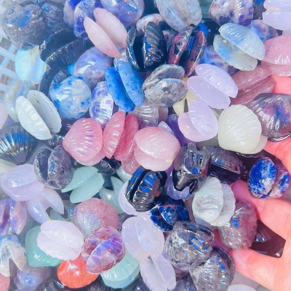 Assorted Carved Crystal Shells - Picture 1 of 1